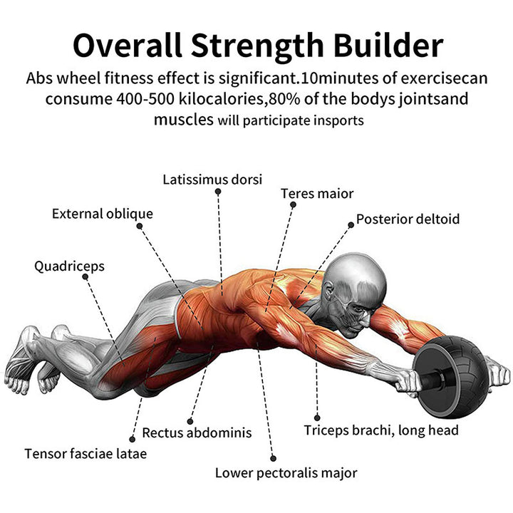 Premium Single-Wheel Ab Roller for Core & Abdominal Muscle Training - Mute, Rubber Wheel for Home Exercise & Bodybuilding, 